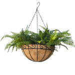 Hanging Basket 30cm