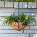 Hanging Basket 30cm