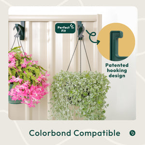 Federation Cottage Green