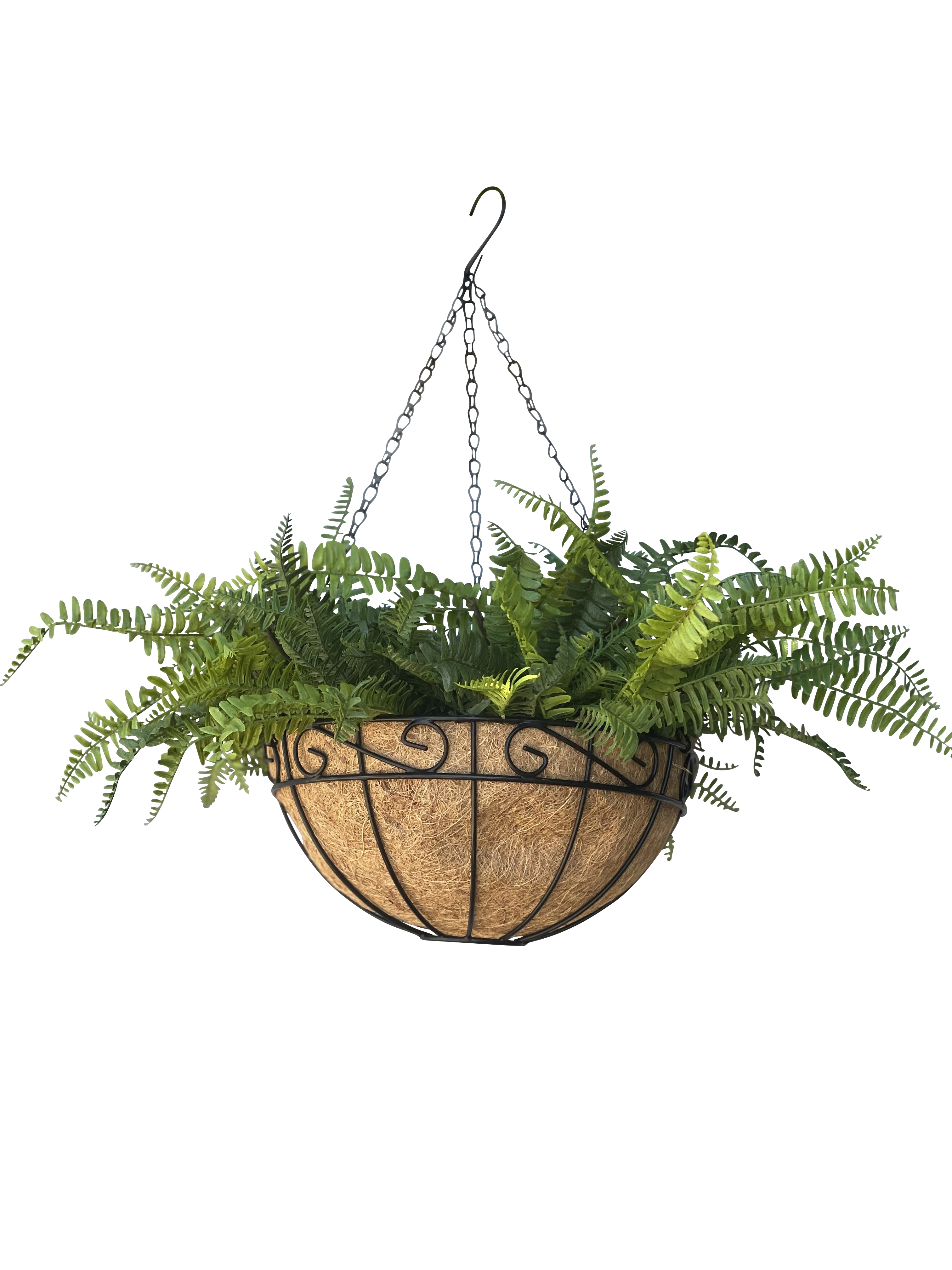 hanging plants on colorbond fence Hanging Basket – Andihooks