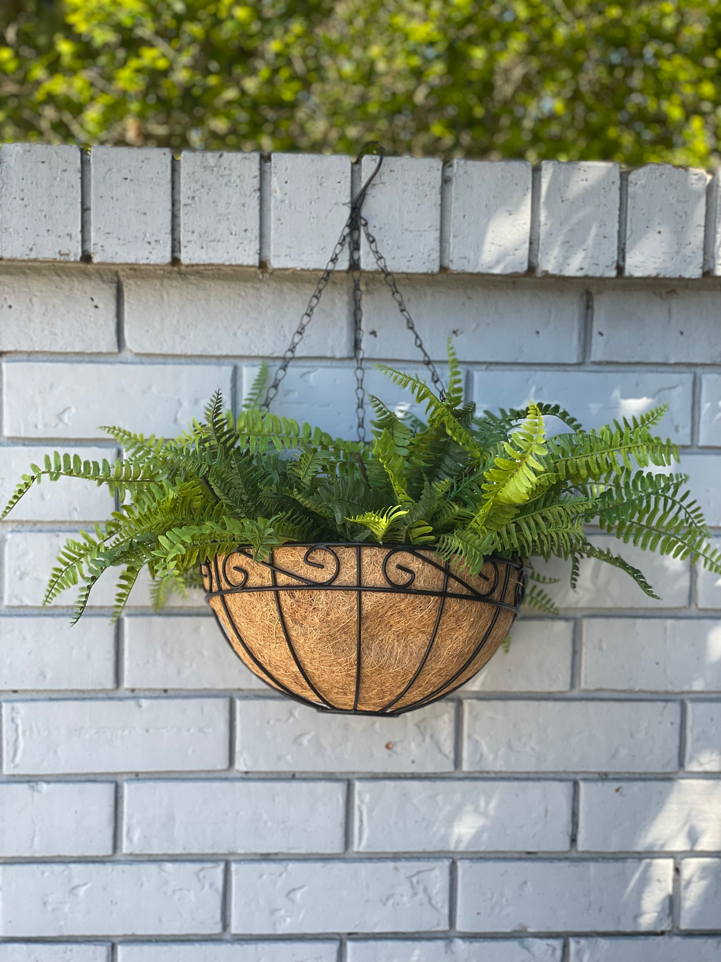 Hanging Basket 30cm