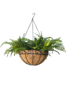 Hanging Basket 30cm