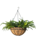 Hanging Basket 30cm