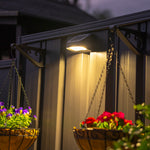 Andilume Solar Light Classic Cream (Available in 2-Pack, 4-Pack, 6-Pack, 8-Pack)