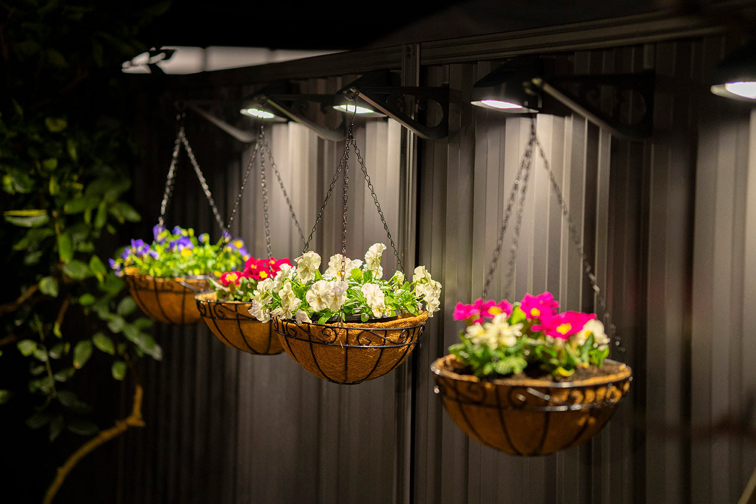 Andilume Solar Light Woodland Grey (Available in 2-Pack, 4-Pack, 6-Pack, 8-Pack)