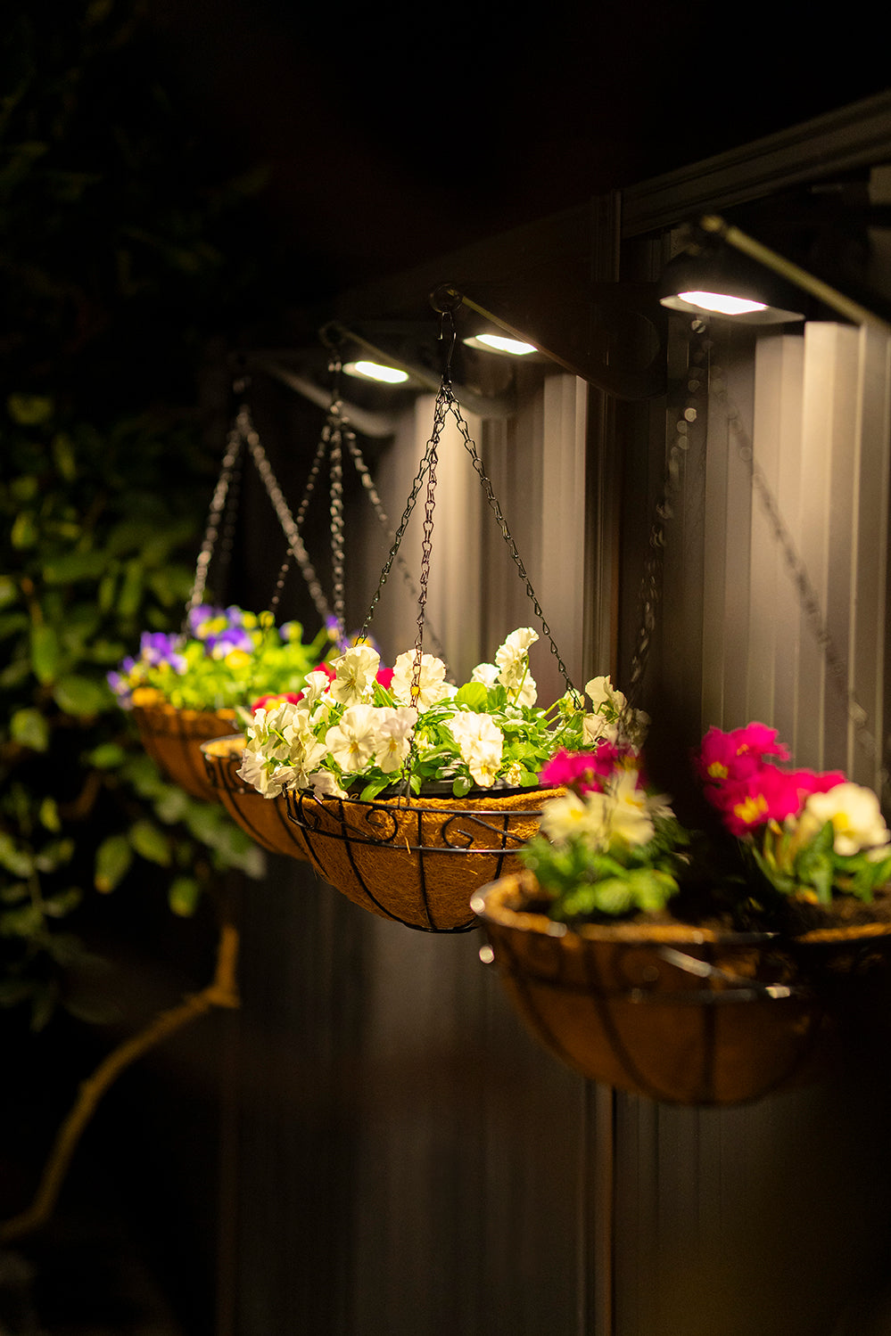 Andilume Solar Light Classic Cream (Available in 2-Pack, 4-Pack, 6-Pack, 8-Pack)