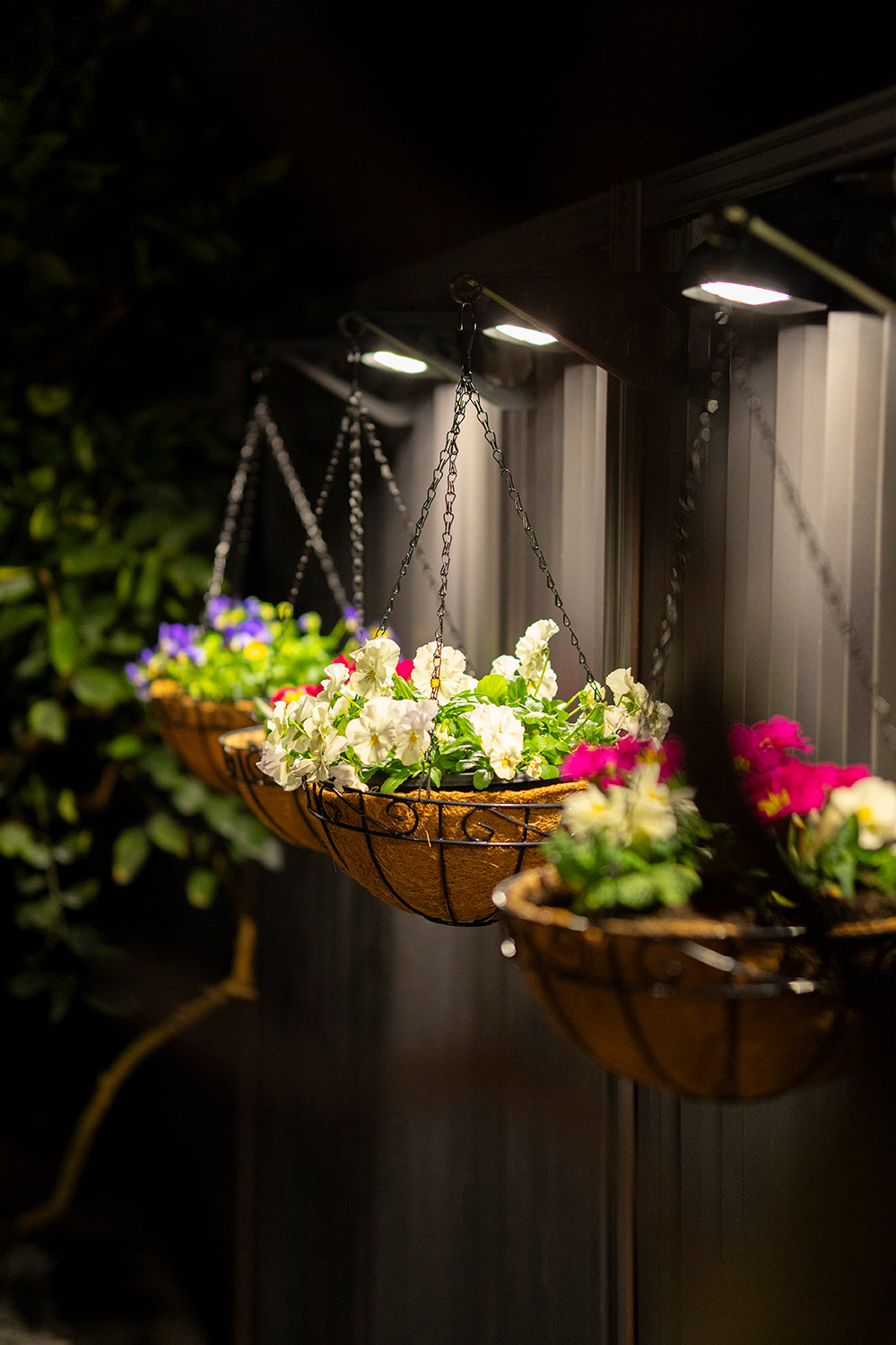 Andilume Solar Light Classic Cream (Available in 2-Pack, 4-Pack, 6-Pack, 8-Pack)