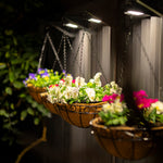 Andilume Solar Light Classic Cream (Available in 2-Pack, 4-Pack, 6-Pack, 8-Pack)